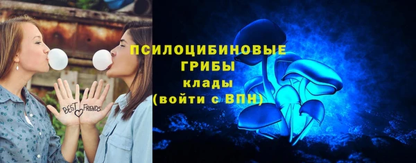 ГАЛЛЮЦИНОГЕННЫЕ ГРИБЫ Абаза