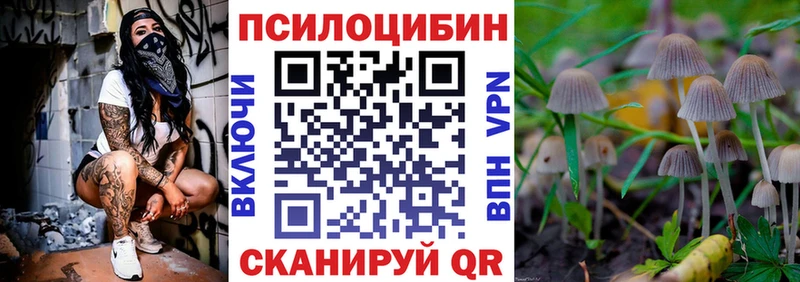 Галлюциногенные грибы мицелий  Кириллов 